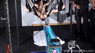 Fucking machine punishment of Elise Graves in hardcore bondage swing submission